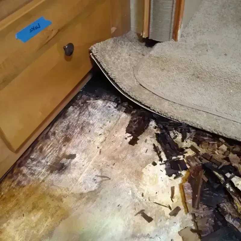 Wood Floor Water Damage in Simmesport, LA